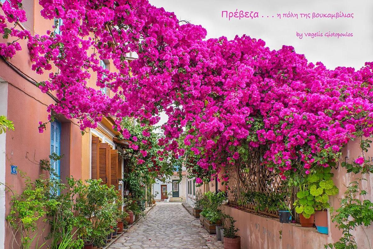 Comfort Apartment Preveza